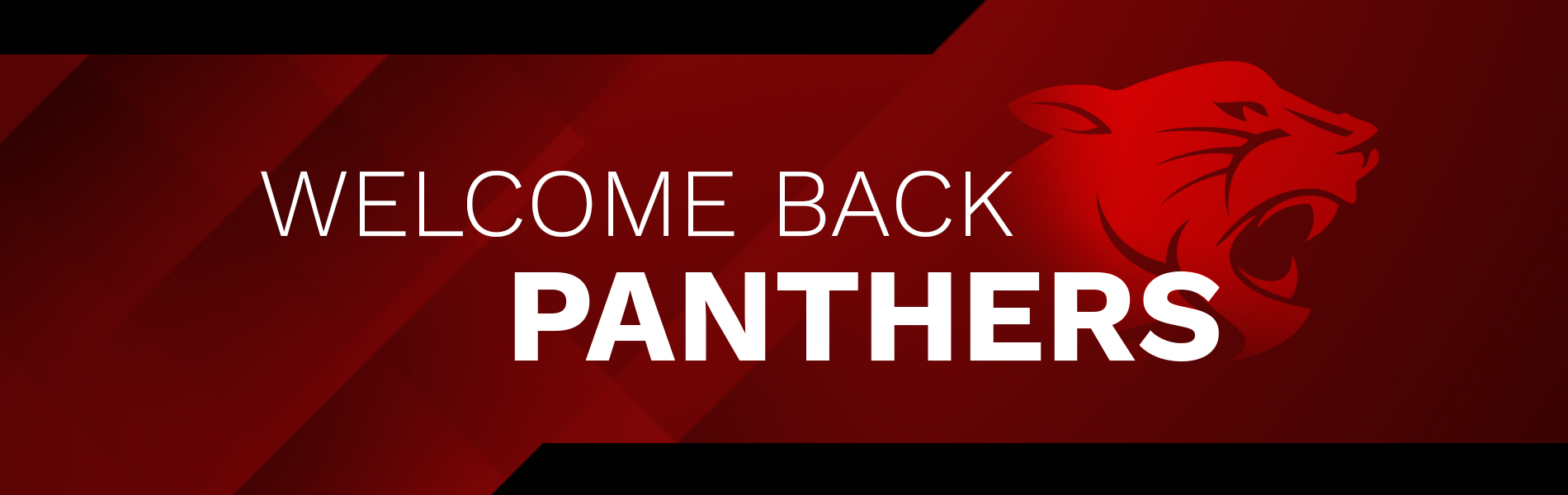 welcome back panther
