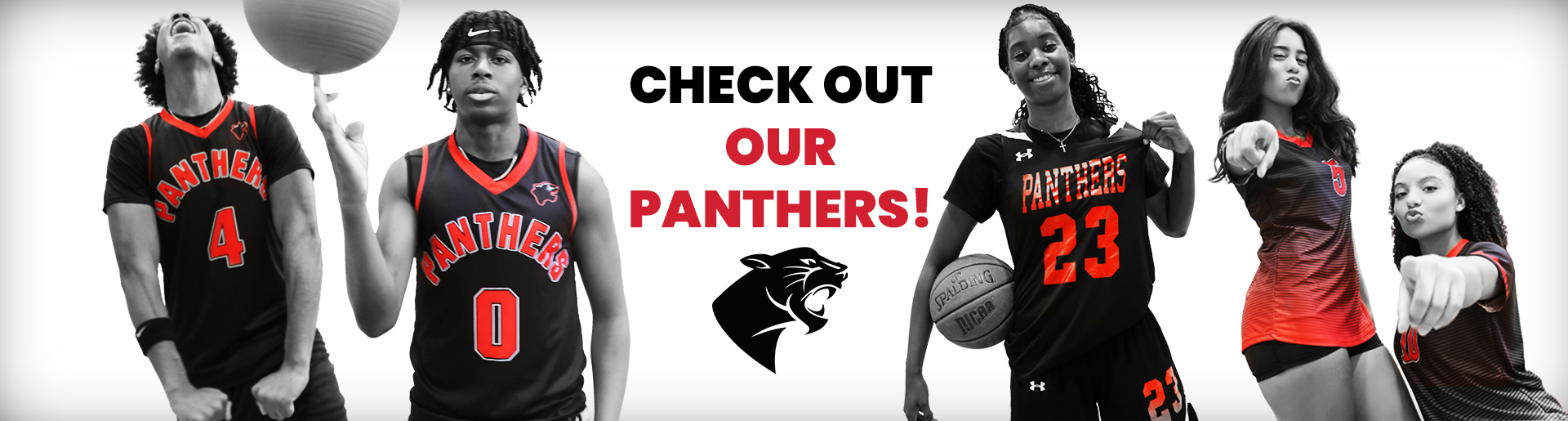 Check out our panthers